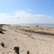 Massif dunaire et plage de Dragey