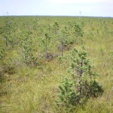Morochno Ramsar Site