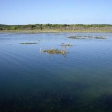 Lake Mombeong one of the freshwater lakes of Discovery Bay