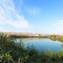 main lagoon at the wetland 