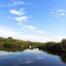 Lagoon at the wetland 