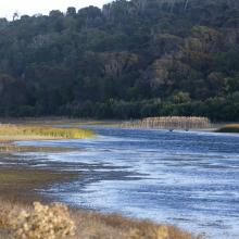Little Waterhouse Lake, Tasmania