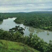 Fleuve Rio Pongo