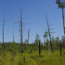 Cheremske Bog 