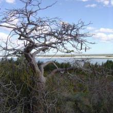 View west across Lac Tsimanamsotsa from escarpment.