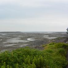 The south side of Hizen Kashima-higata
