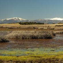 Laguna Grande de Beleña. Panorámica. Laguna Grande de Beleña. Panorámica.