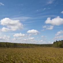 Poleski National Park