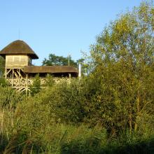 Swidwie Lake Nature Reserve