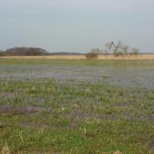 Swidwie Lake Nature Reserve