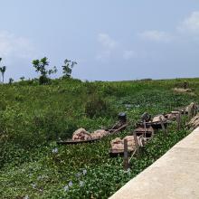 Ebute Oni Coastal Wetland