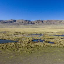 Seasonal freshwater lakes