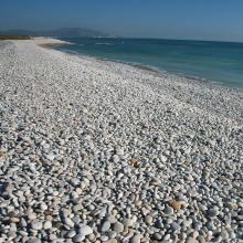 Prat de Cabanes-Torreblanca. Cordón litoral de cantos rodados