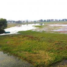 Panoramic view of Sandi Bird Sanctuary Panoramic view of Sandi Bird Sanctuary