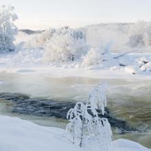 Vindelforsarna winter Vindelforsarna winter
