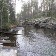 Kniptjärnsbäcken Kniptjärnsbäcken