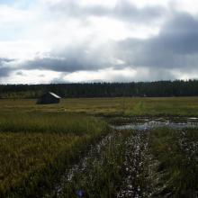 Hay barns, Vasikkavuoma Hay barns, Vasikkavuoma