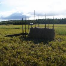 Hay drying rack Hay drying rack