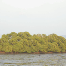 Aghanashini Estuary Aghanashini Estuary