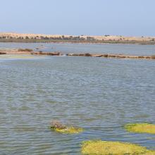 Complexe de Sidi Moussa-Walidia