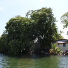 Laguna de Alvarado