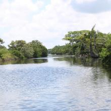 Laguna de Alvarado