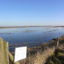 View of All Fleets Marsh