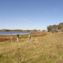 Bird survey at LLNR