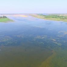 NMWLS Wetland Aerial View