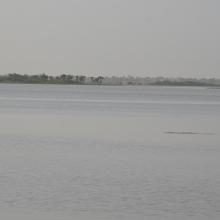 Lassori
