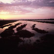 Marsh and salt ponds  area at the Salt ponds (near Salina Salinella)