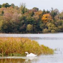 Lough Oughter
