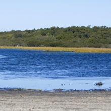 The Ramsar listed wetland of Jocks Lagoon near St Helens in Tasmania