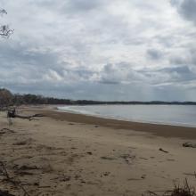 Shoalwater 