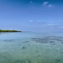Panoramic view of Gulf of Mannar Marine Biosphere Reserve 