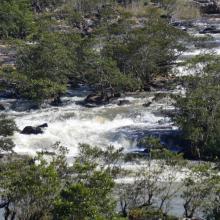 Eau rapide et rocailleux de la rivière