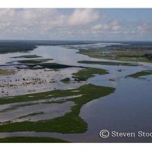 Zambezi