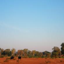 dry season game utilization of the floodplain dry season game utilization of the floodplain