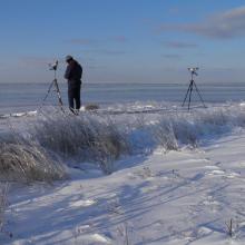 Middle winter accounting of wintering waterbirds.