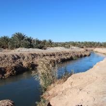 CANAL DE OUED RIGH
