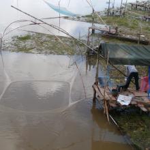 Life of locals at the river.