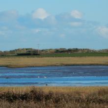 Baldoyle Bay