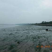 North Bull Island