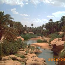 Oasis Tiout