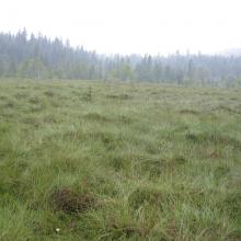 Mishok Bog: general view