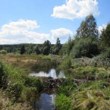 The Site "Black Bog" 