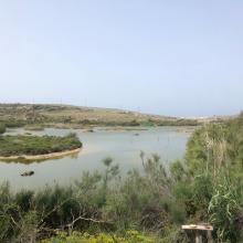 L-Għadira L-Għadira