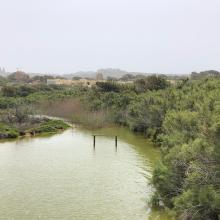 L-Għadira L-Għadira