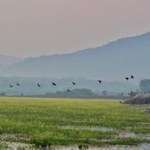 Nanda Lake