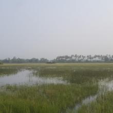 Nanda Lake